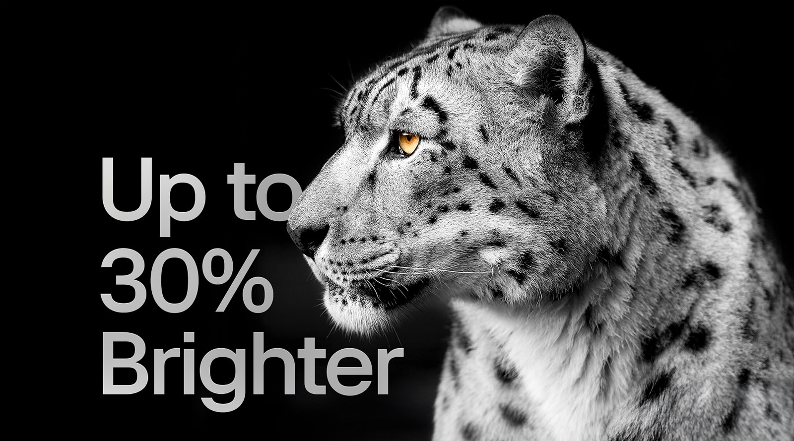 A white leopard showing its side face on the left side of the image. The words "Up to 30% brighter" appear on the left.