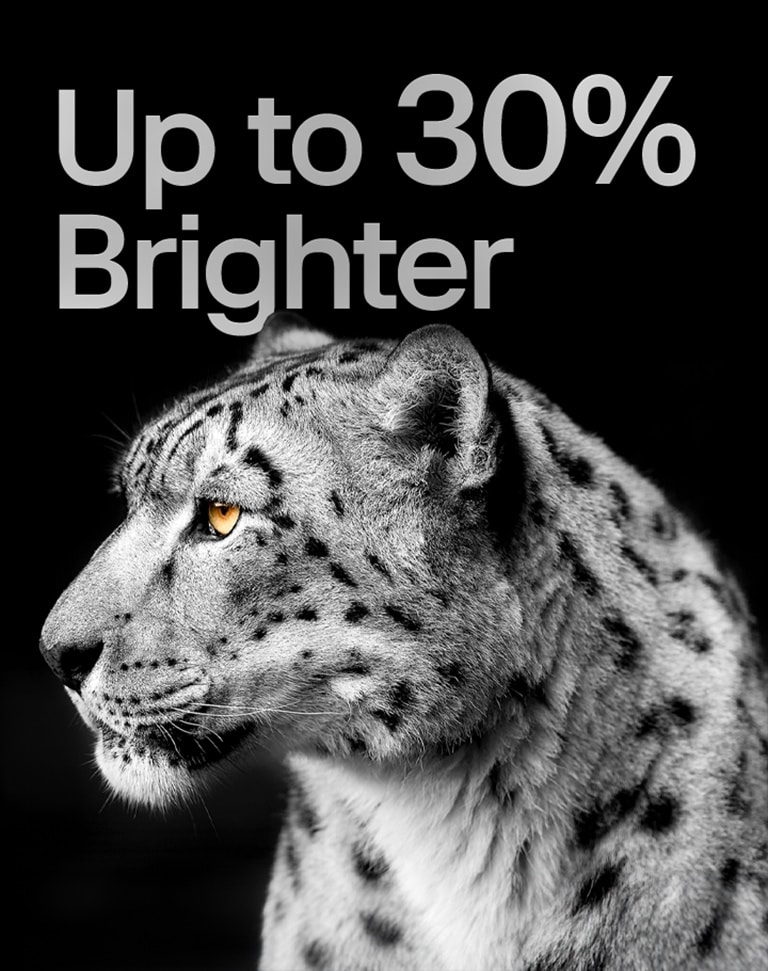 A white leopard showing its side face on the left side of the image. The words "Up to 30% brighter" appear on the left.
