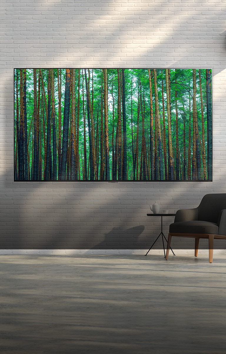 A large-screen LG QNED MIniLED TV mounted against a white brick wall with a small armchair and table in front. The screen shows a forest.