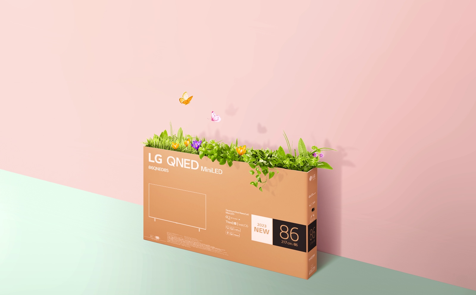 Una caja de empaque QNED se coloca sobre un fondo rosa y verde y crece hierba y salen mariposas de su interior. 