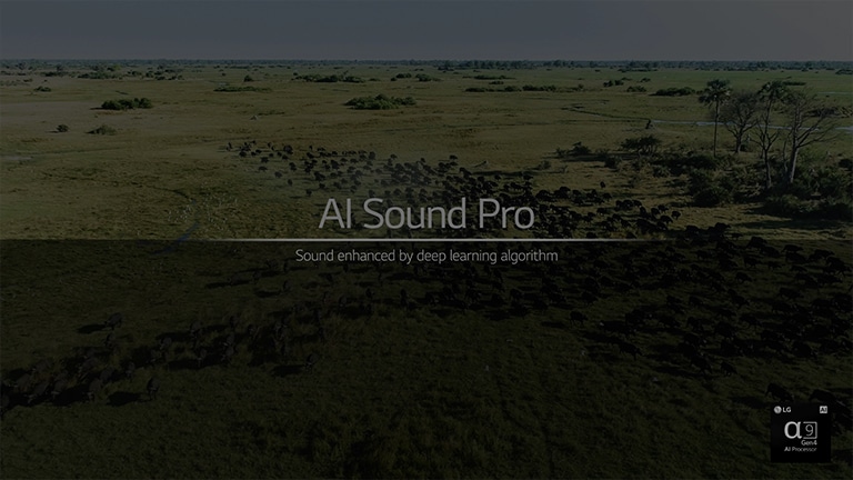 Este áudio é sobre o AI Sound. Clique no botão “Assistir ao vídeo completo” para reproduzir o vídeo.