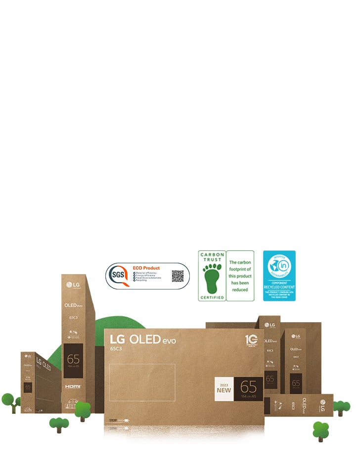 Embalaje de cartón LG OLED ecológico representado alrededor de prósperos árboles y montañas.