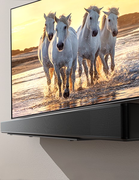 Un televisor y una barra de sonido colocados en una repisa con una pantalla que muestra la imagen de un caballo blanco que corre por una playa azul.	