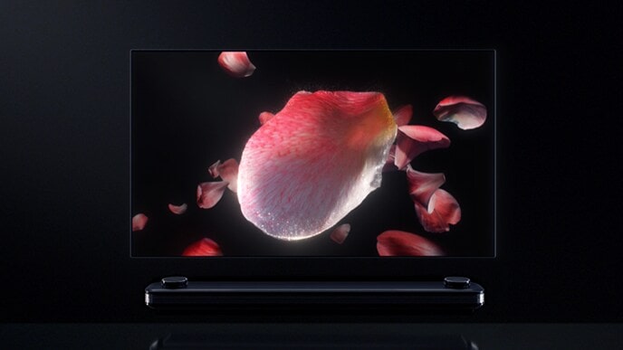 L'image florale est remplie sur l'écran du téléviseur LG SIGNATURE OLED W.