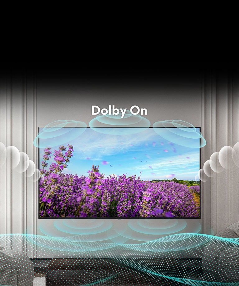 QNED 電視螢幕顯示夏日田野上一朵粉紅色的油菜花，中間顯示「Dolby 關閉」字樣。螢幕內的影像變亮，文本變為「Dolby 開啟」。