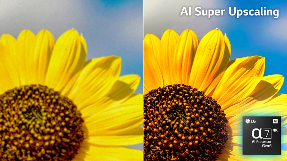 Gambar bunga matahari ditayangkan melalui layar terpisah di sebelah kiri dan kanan. Gambar kanan dengan AI Picture Pro yang diaktifkan tampak lebih cerah dan jernih.