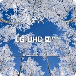 Il logo TV e LG UHD è posizionato al centro: lo schermo TV e lo sfondo sono ricoperti di alberi gelati.