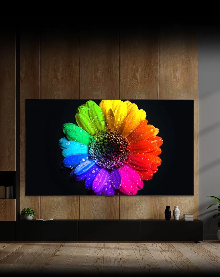 I Mini LED all’interno del TV si accendono e riempiono l’intero schermo del TV per mostrare infine un coloratissimo fiore.
