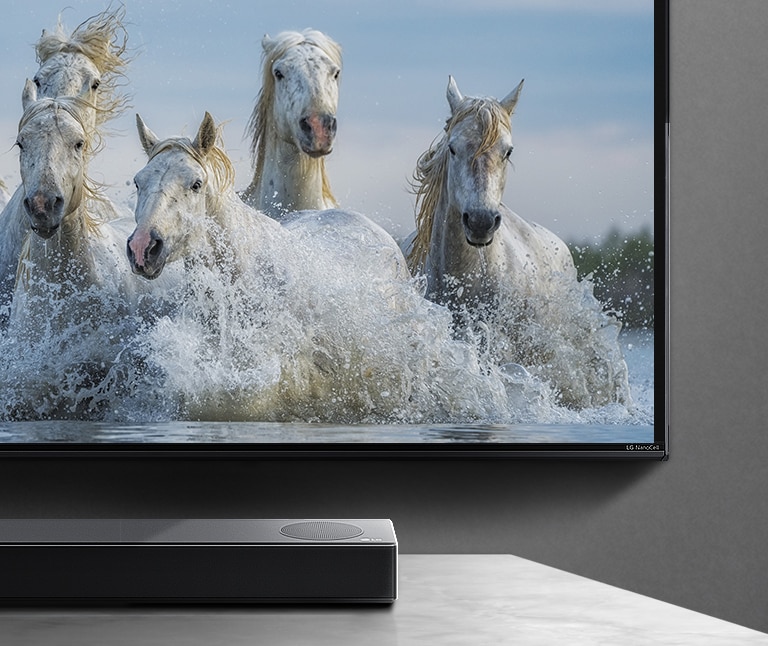 La mitad de la pantalla inferior y la mitad de la barra de sonido. En el televisor se ven caballos blancos corriendo sobre el agua.