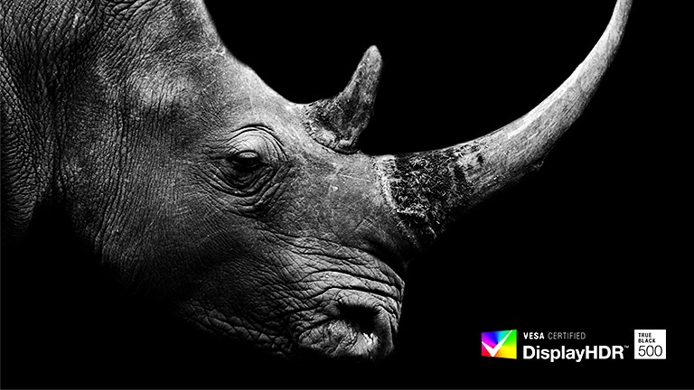 The image of the rhinoceros in the dark expresses its accurate color.