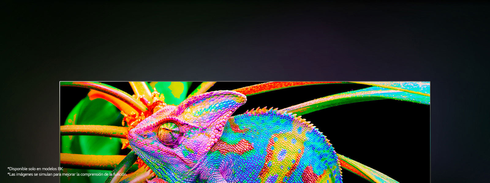Hay un televisor en el que se amplían los coloridos camaleones para mostrar la piel en detalle.