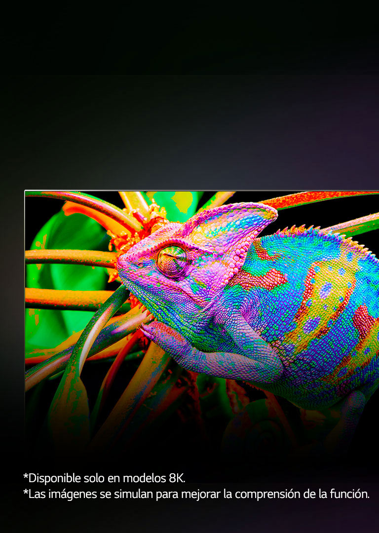 Hay un televisor en el que se amplían los coloridos camaleones para mostrar la piel en detalle.