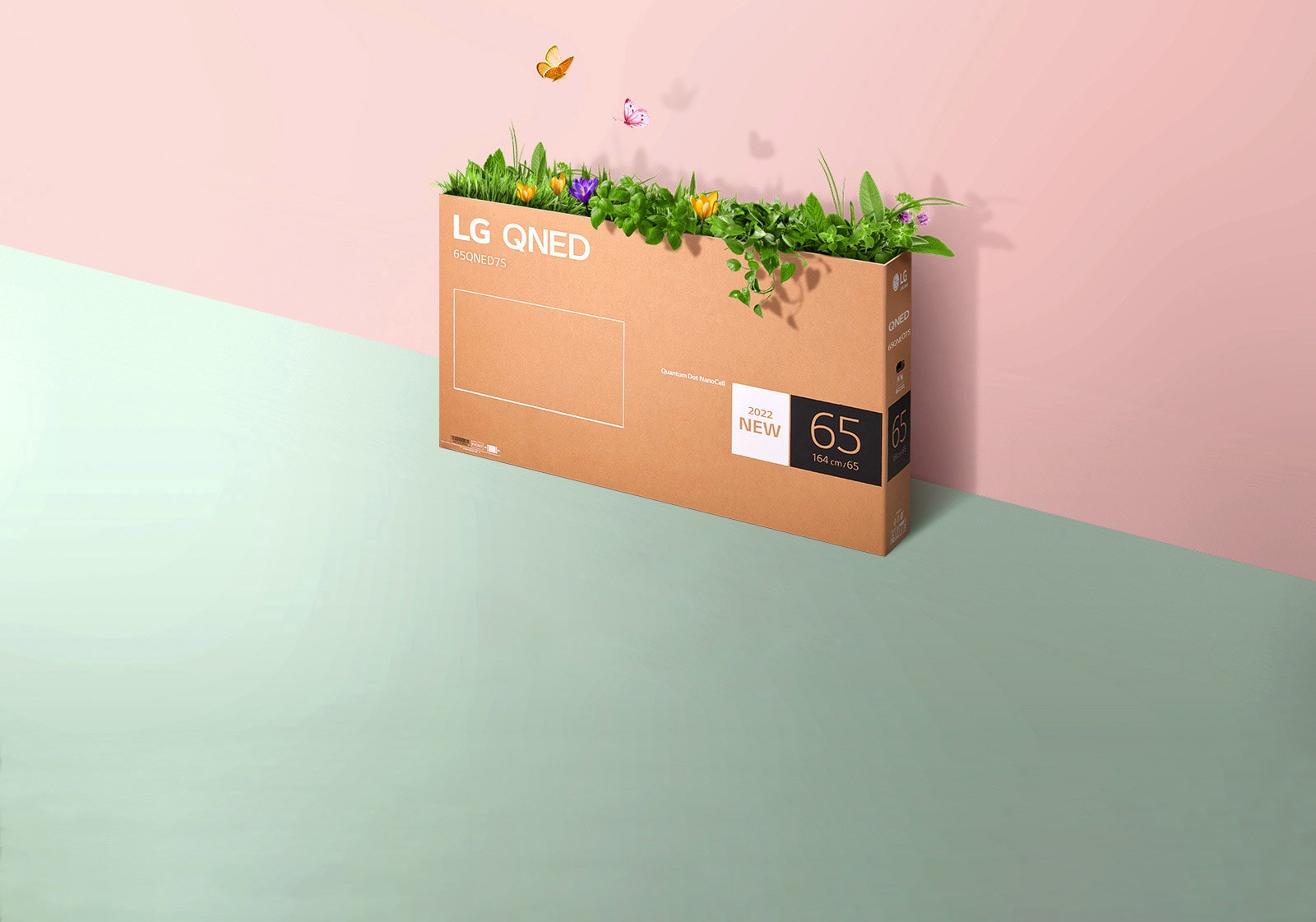 Ένα κουτί συσκευασίας της QNED τοποθετημένο σε ροζ και πράσινο φόντο. Υπάρχει γρασίδι που φυτρώνει και πεταλούδες που βγαίνουν από το εσωτερικό του κουτιού. 
