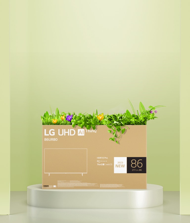 Ένα κουτί συσκευασίας τηλεόρασης LG UHD που έχει μετατραπεί σε ανακυκλωμένη χάρτινη ζαρντινιέρα με λουλούδια.