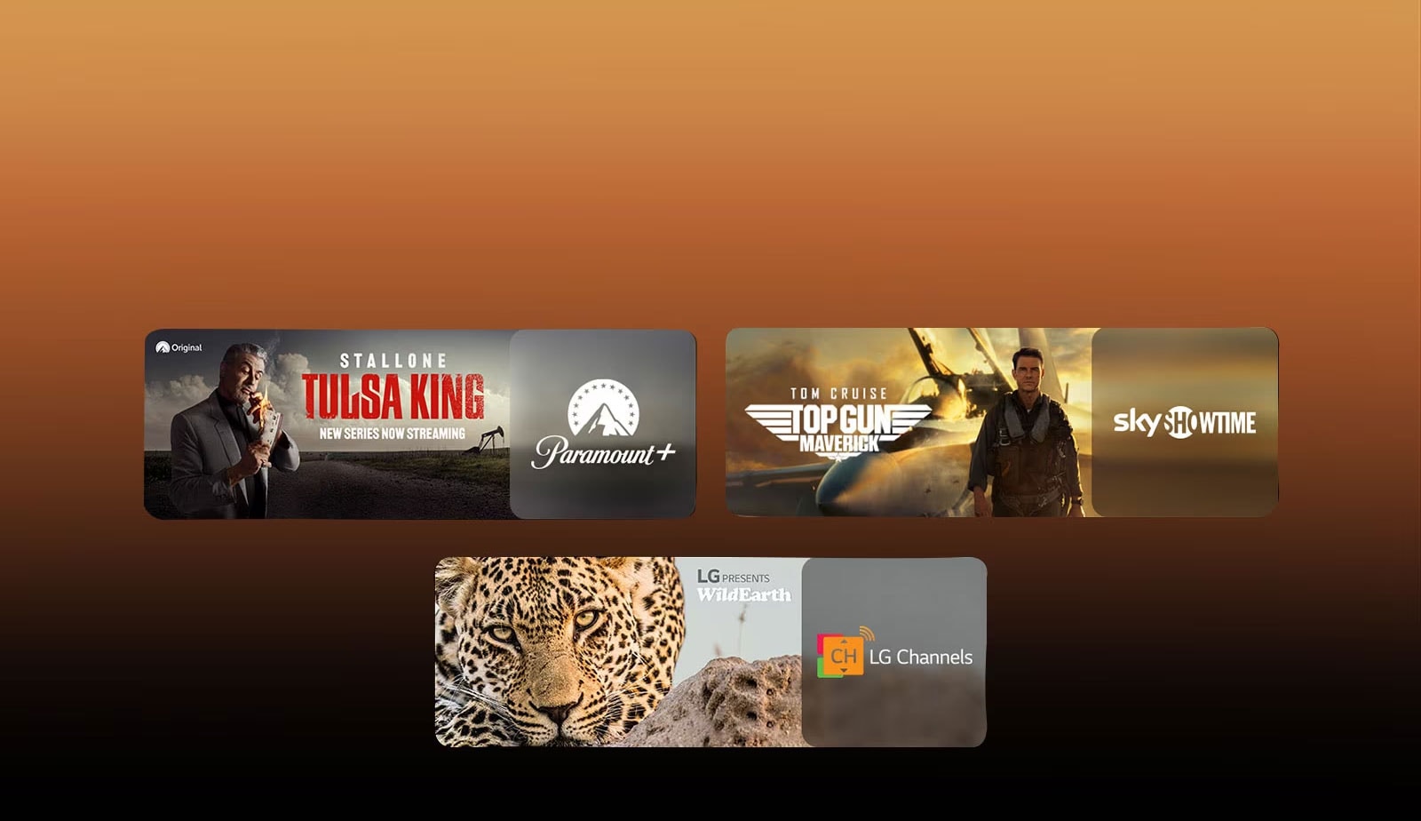 There are logos of streaming service platforms and matching footages right next to each logo. There are images of Paramount+'s Tulsa King , sky showtime's TOP GUN, and LG CHANNELS' leopard.