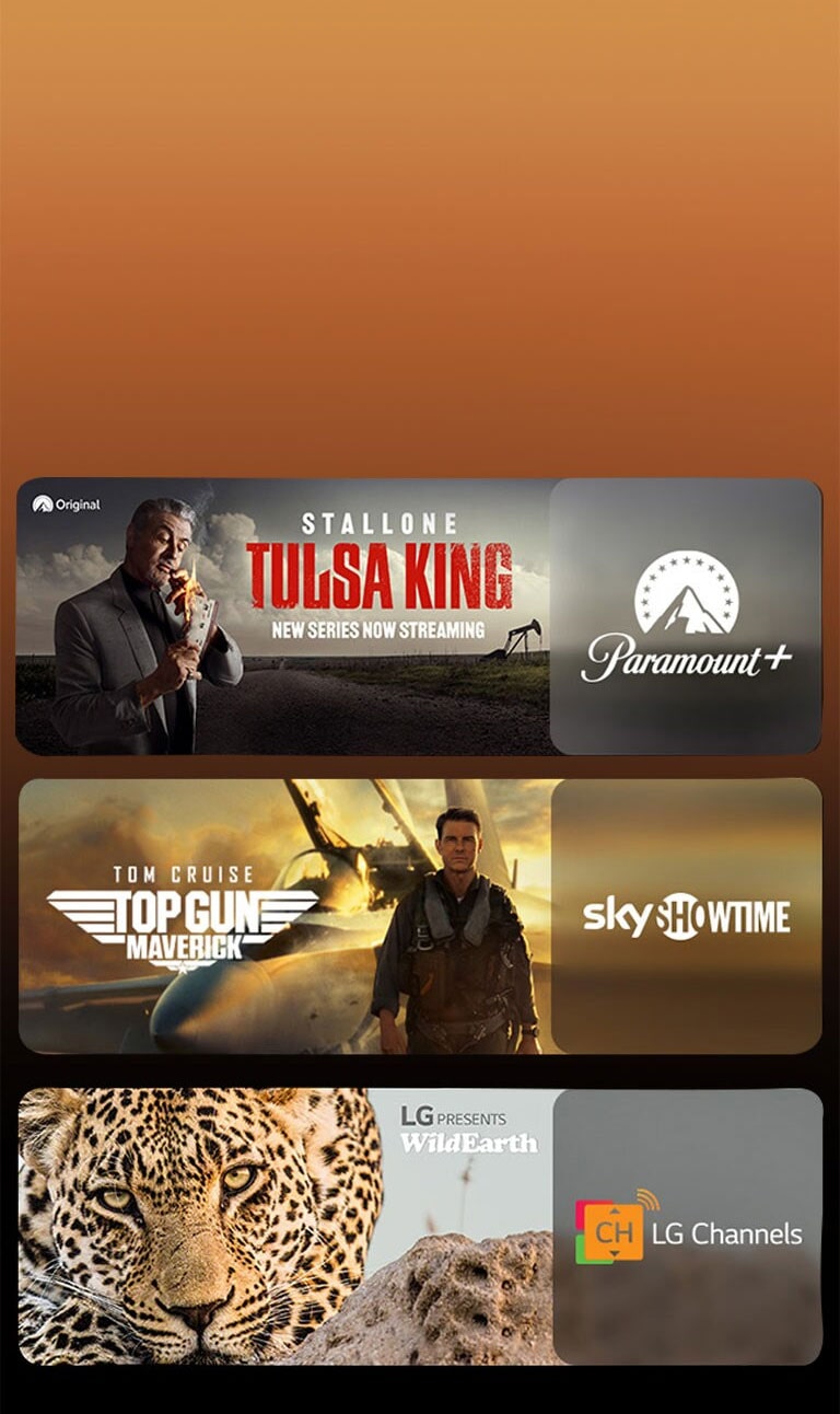 There are logos of streaming service platforms and matching footages right next to each logo. There are images of Paramount+'s Tulsa King,ky showtime's TOP GUN, and LG CHANNELS' leopard.