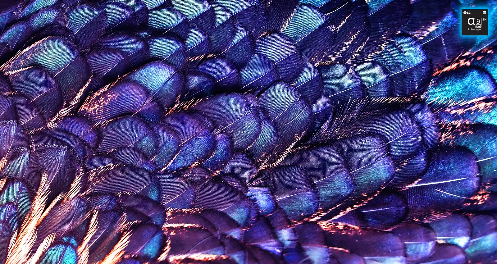 Obraz faktury jaskrawych opalizujących piór ptaka w fioletowym kolorze. Obraz jest podzielony na dwie części – górna jest żywsza i ma napis AI 8K upscaling i zdjęcie procesora, a dolna jest bledsza.