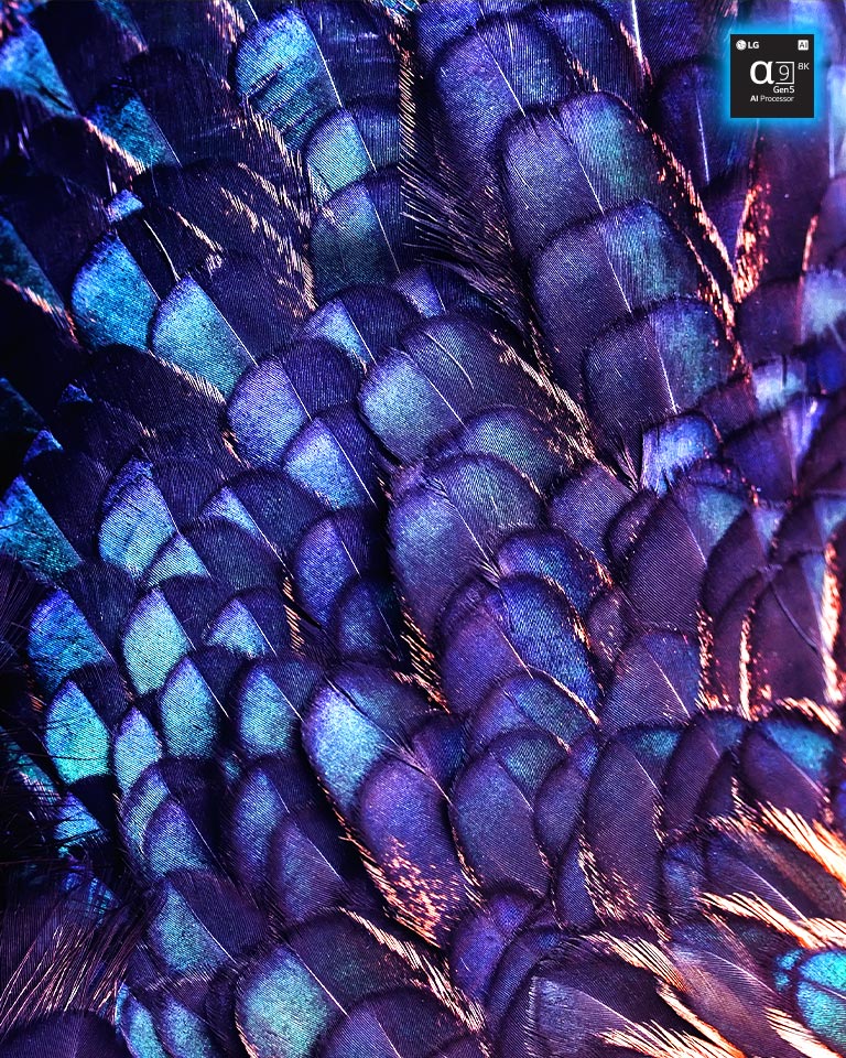 Obraz faktury jaskrawych opalizujących piór ptaka w fioletowym kolorze. Obraz jest podzielony na dwie części – górna jest żywsza i ma napis AI 8K upscaling i zdjęcie procesora, a dolna jest bledsza.